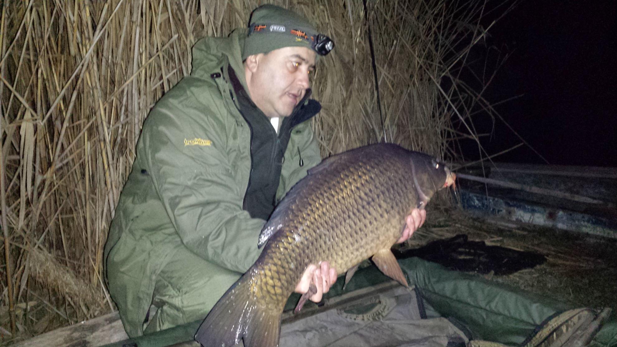 Tancabesti 14 - 16 mar. - 2014-03-14-2345571.jpg